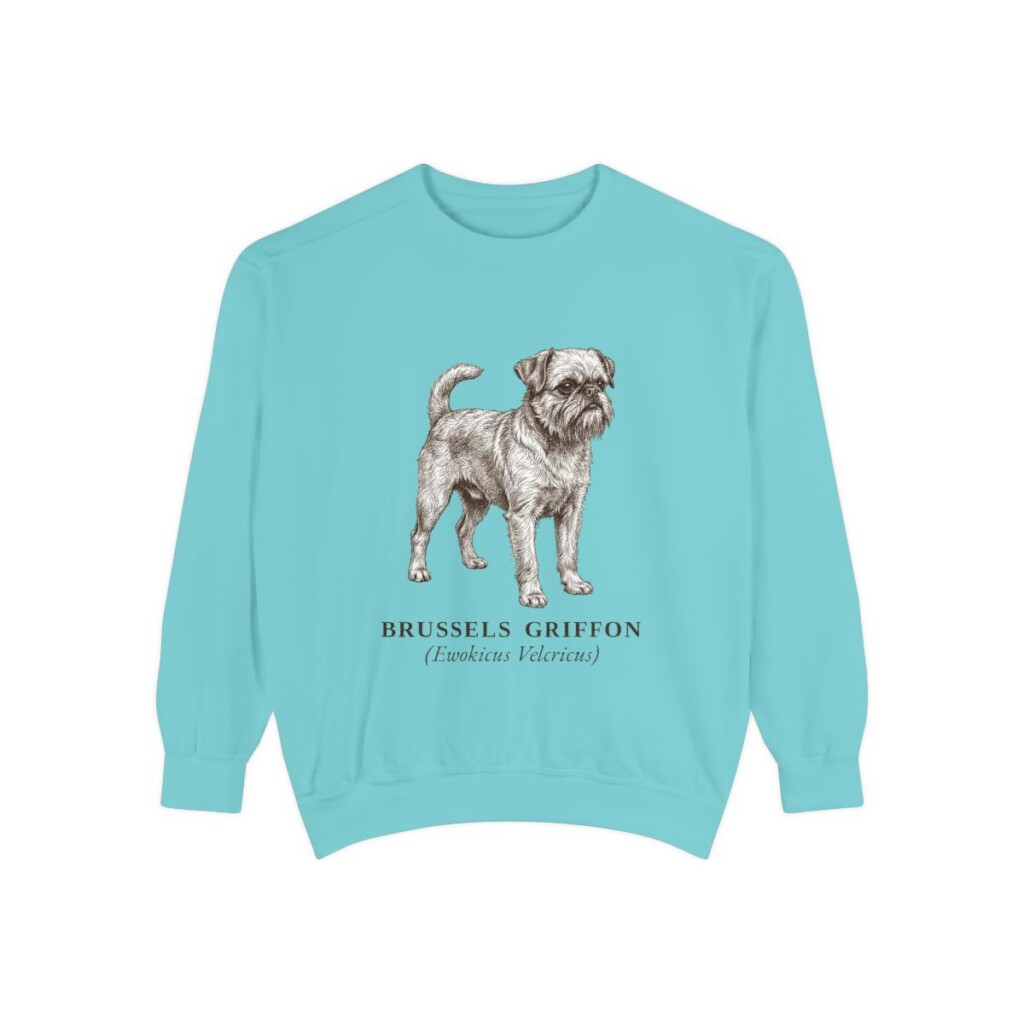 Brussels Griffon Latin Sweatshirt, Chalky Mint, front view