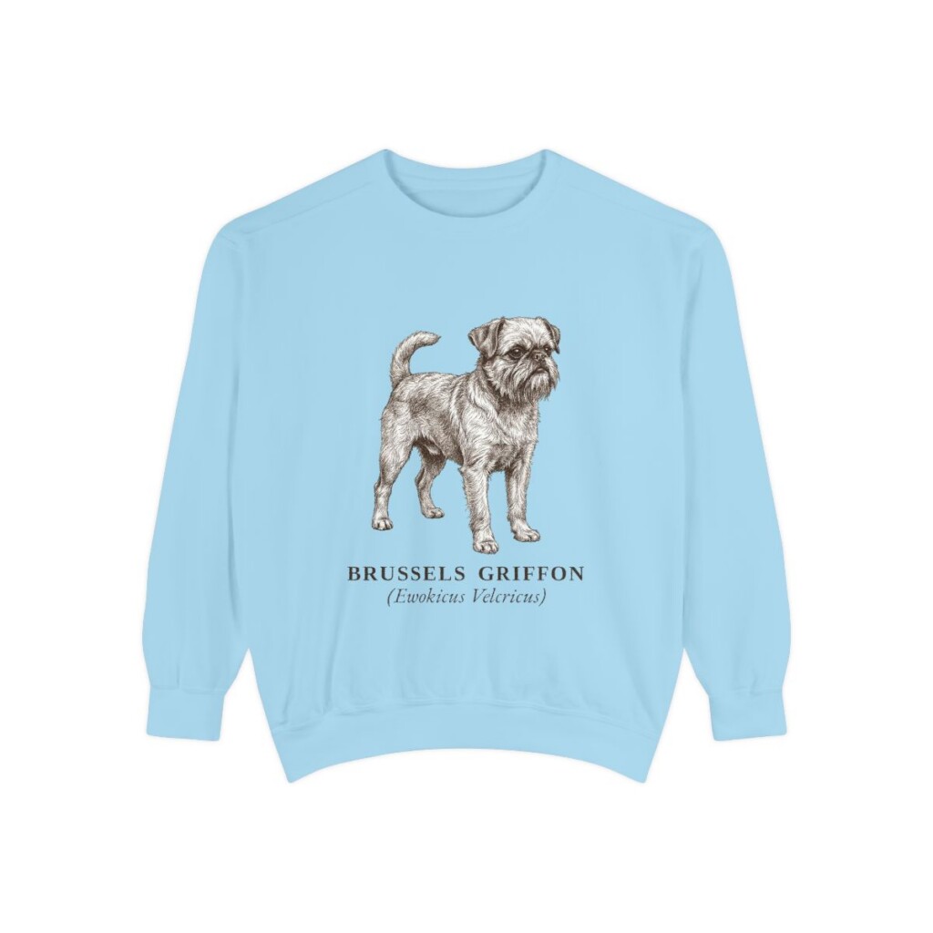 Brussels Griffon Latin Sweatshirt, Chambray, front view