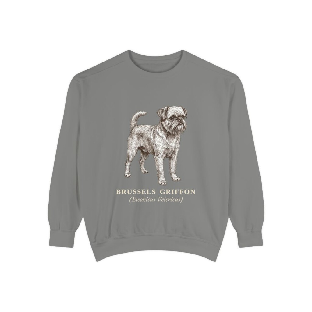 Brussels Griffon Latin Sweatshirt, Grey, front view
