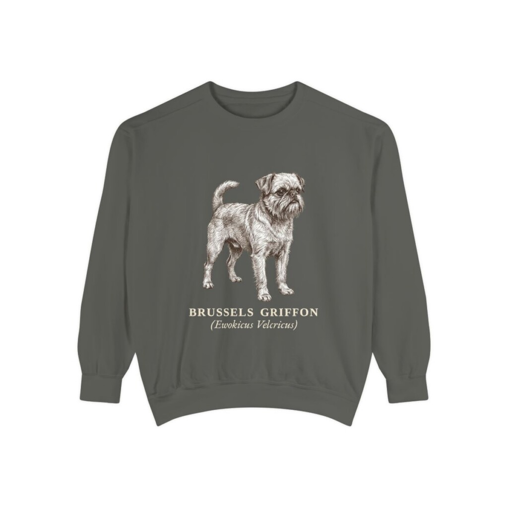 Brussels Griffon Latin Sweatshirt, Pepper, front view