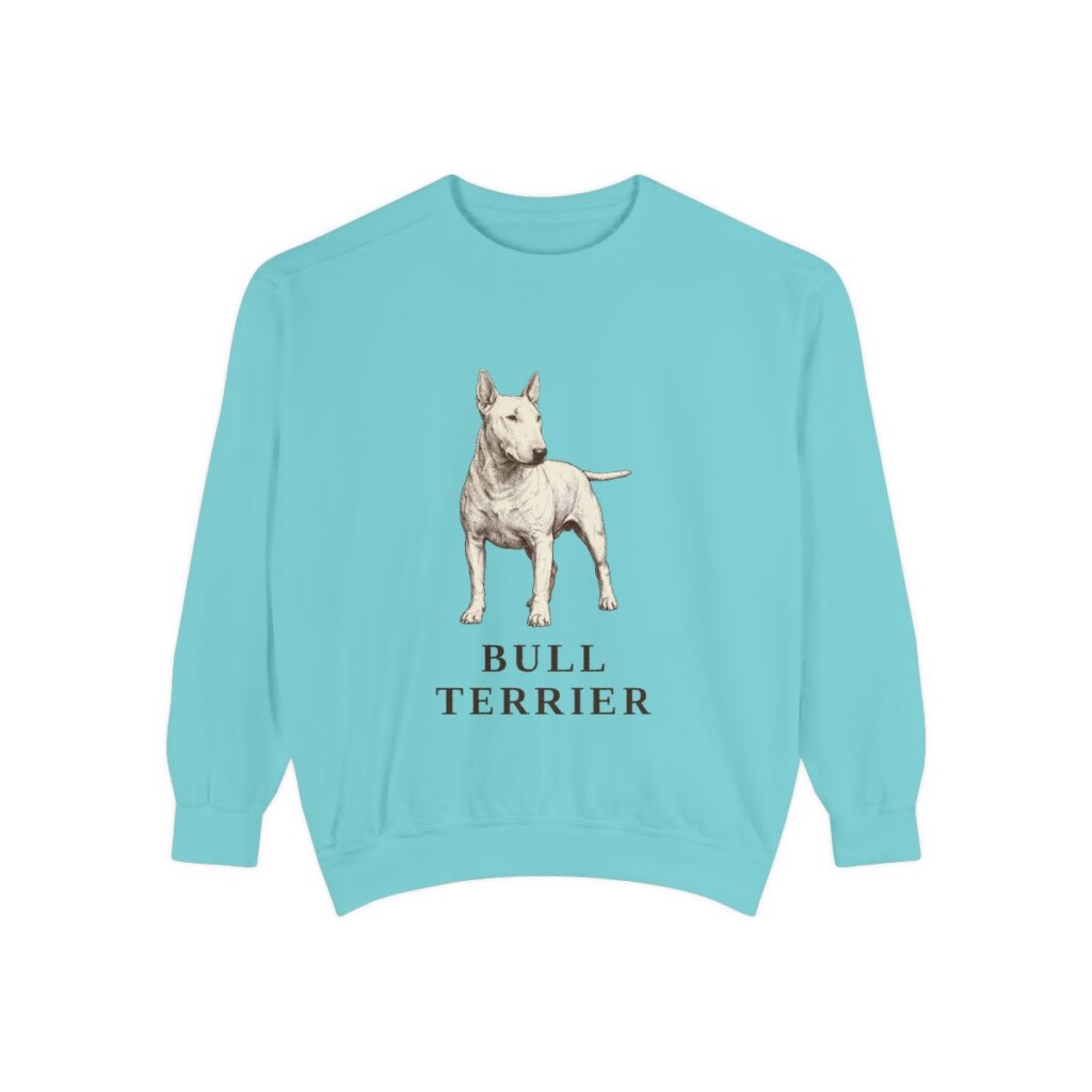 Bull Terrier Sweatshirt, Chalky Mint, front view