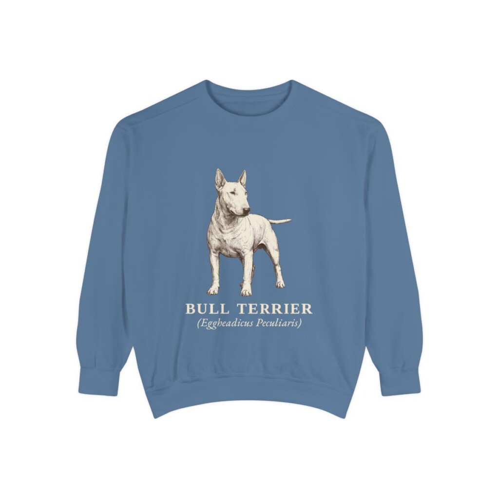 Bull Terrier Latin Sweatshirt, Blue Jean, front view