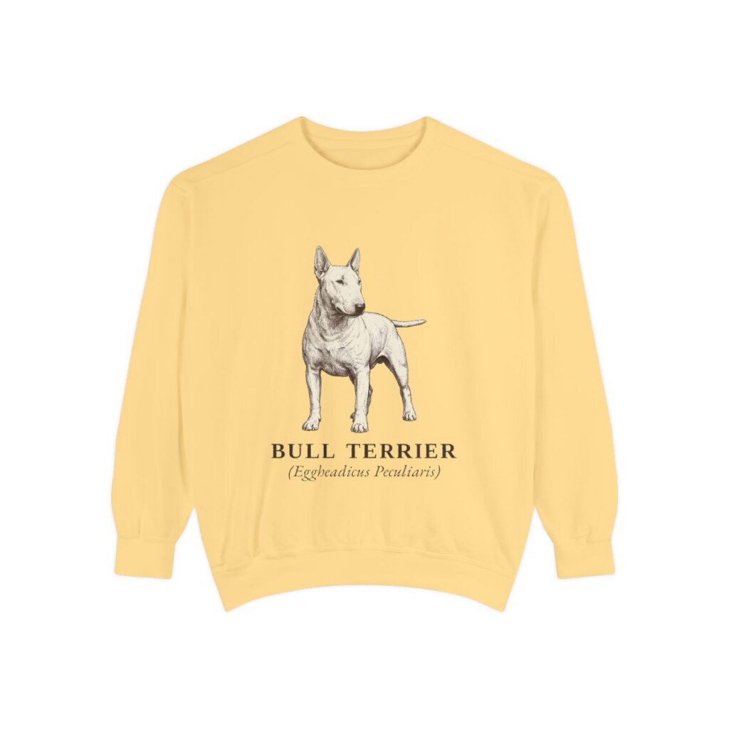 Bull Terrier Latin Sweatshirt, Butter, front view