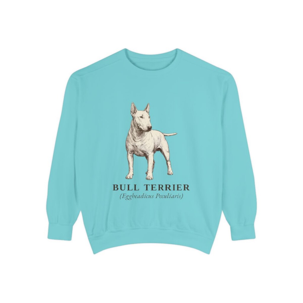 Bull Terrier Latin Sweatshirt, Chalky Mint, front view
