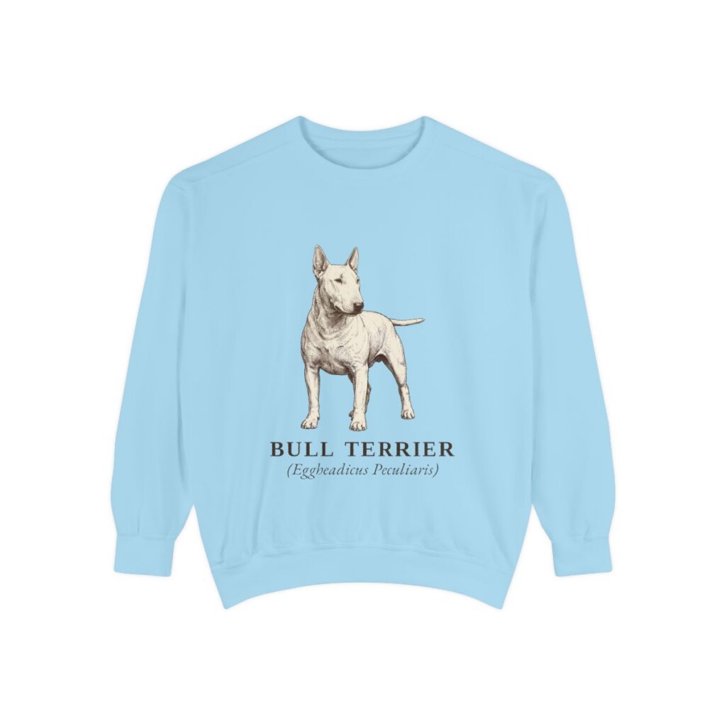 Bull Terrier Latin Sweatshirt, Chambray, front view