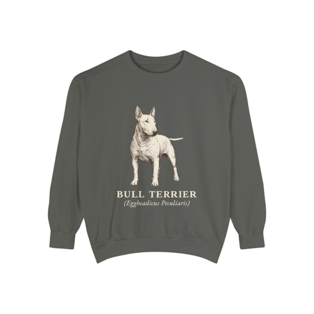 Bull Terrier Latin Sweatshirt, Pepper, front view