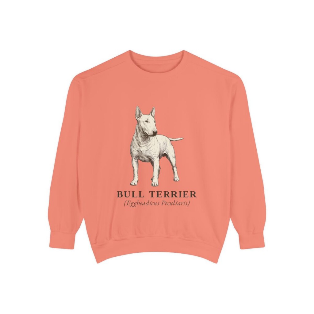 Bull Terrier Latin Sweatshirt, Terracotta, front view