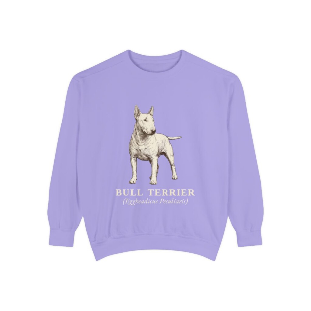 Bull Terrier Latin Sweatshirt, Violet, front view