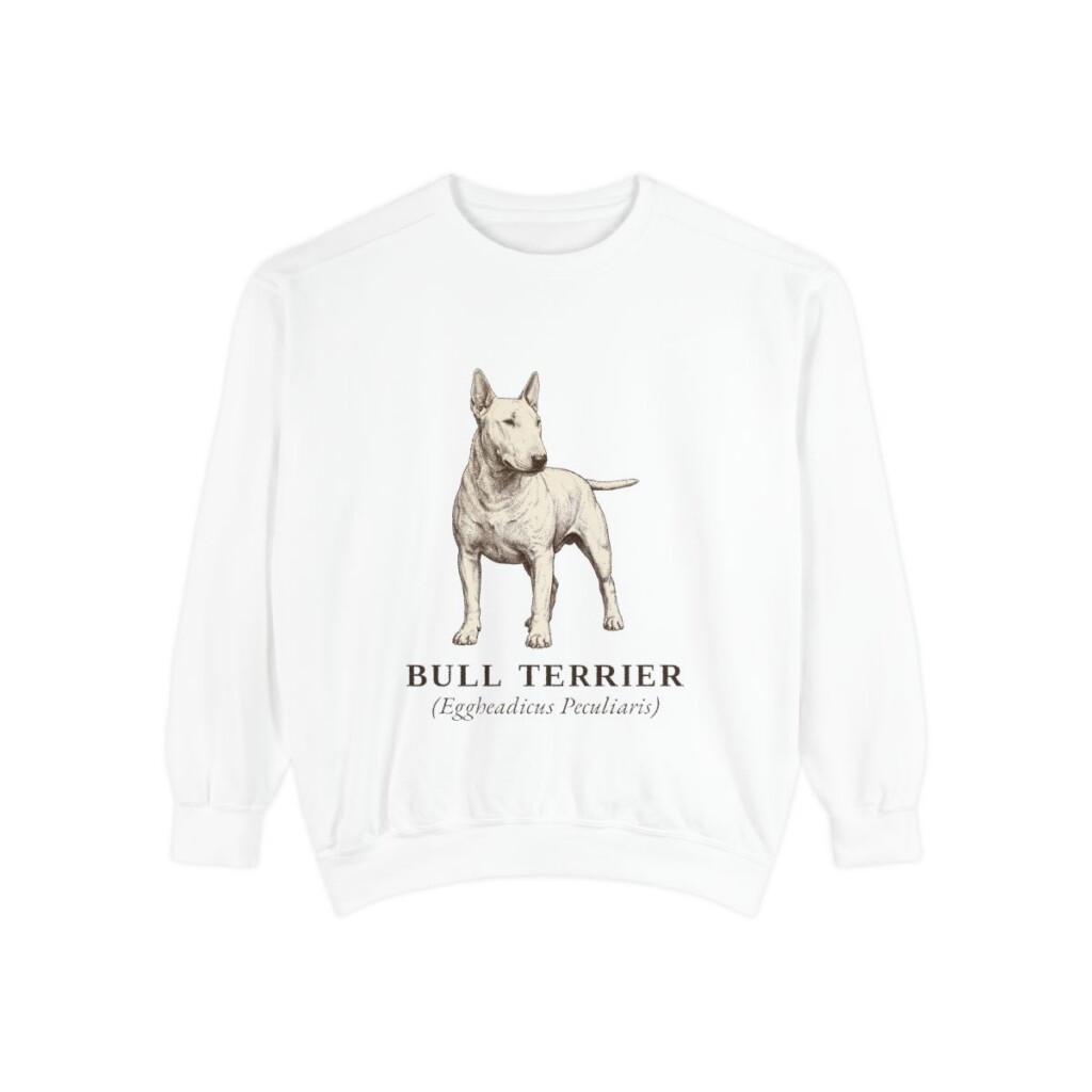 Bull Terrier Latin Sweatshirt, White, front view