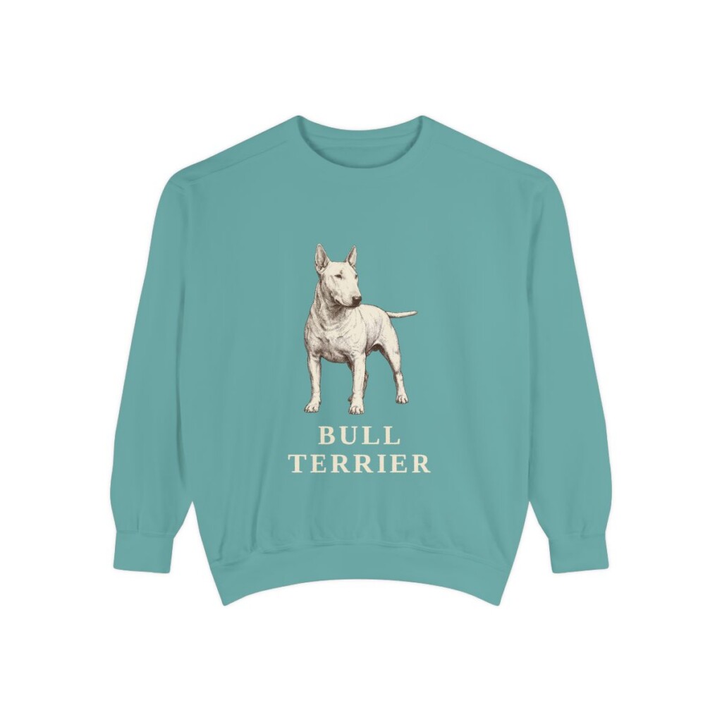Bull Terrier Sweatshirt, Seafoam, front view