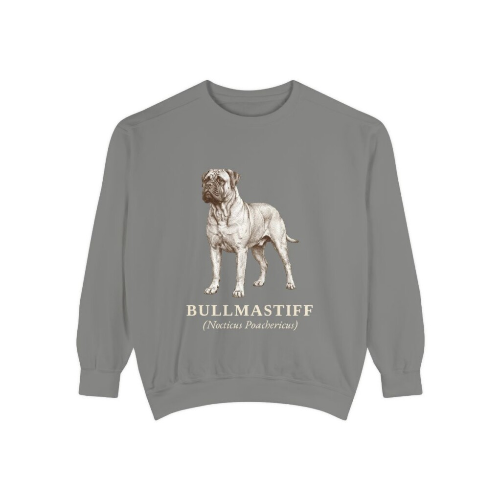 bullmastiff-sweatshirt-latin-grey Bullmastiff Latin Sweatshirt, Grey, front view