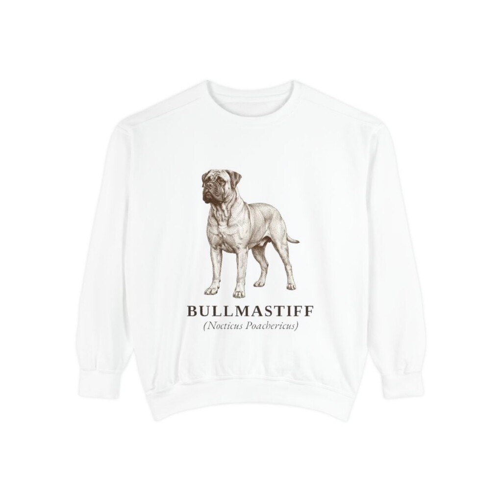 bullmastiff-sweatshirt-latin-white Bullmastiff Latin Sweatshirt, White, front view