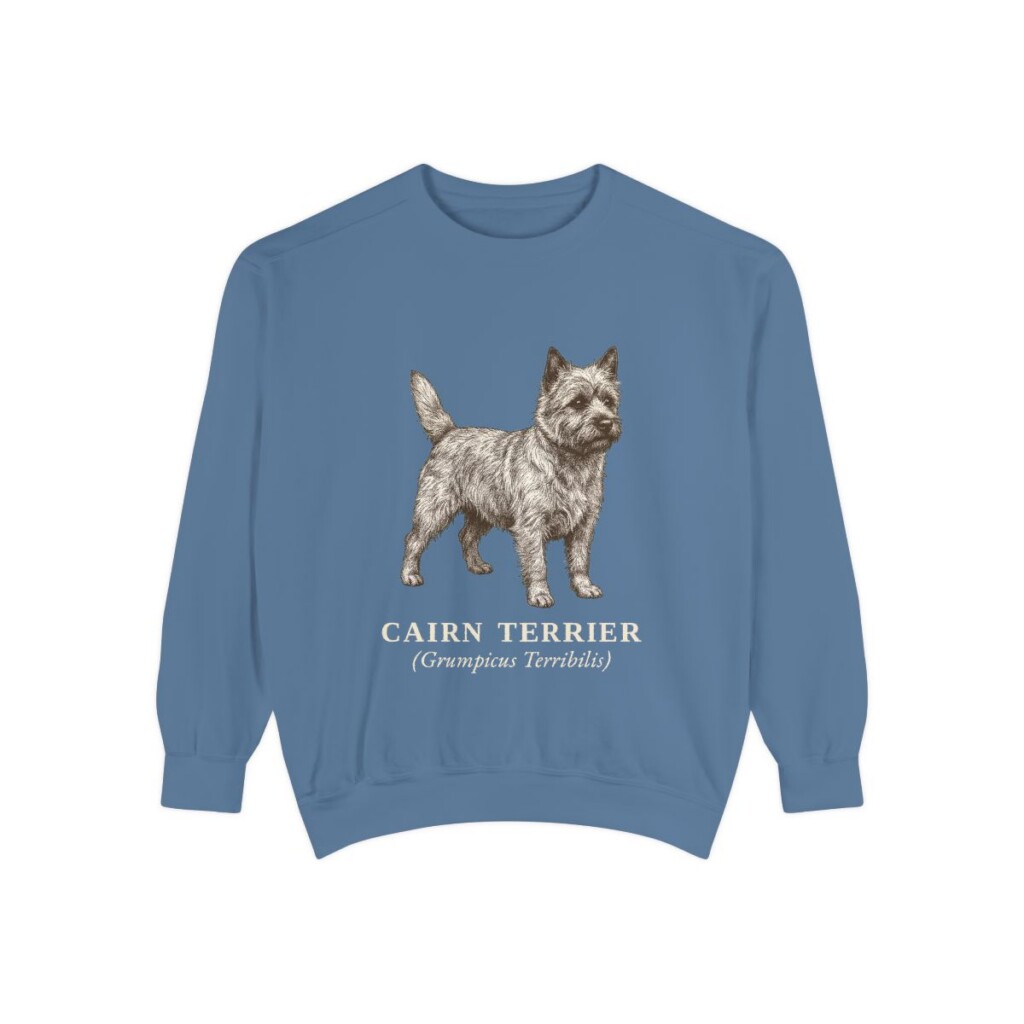 Cairn Terrier Latin Sweatshirt, Blue Jean, front view