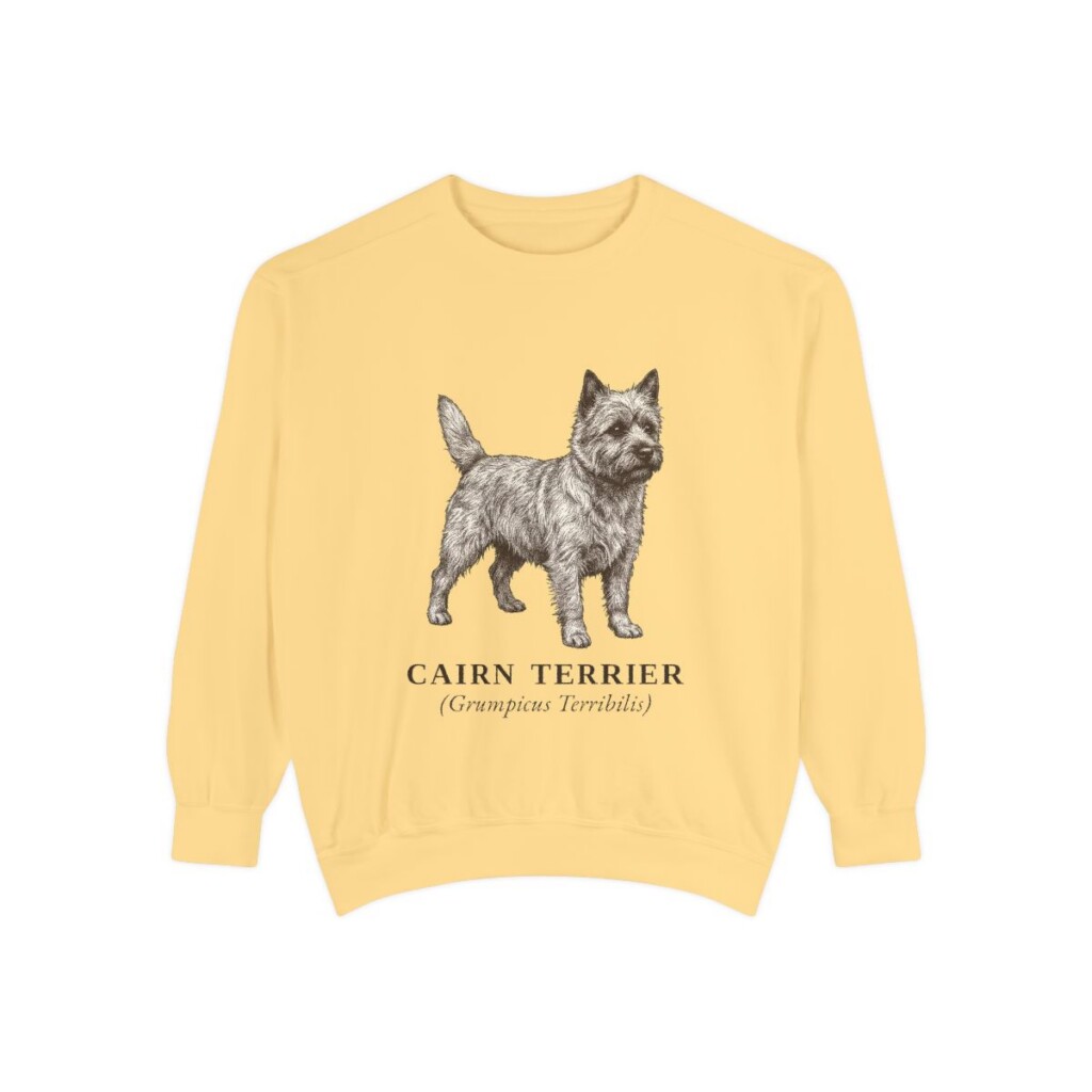 Cairn Terrier Latin Sweatshirt, Butter, front view