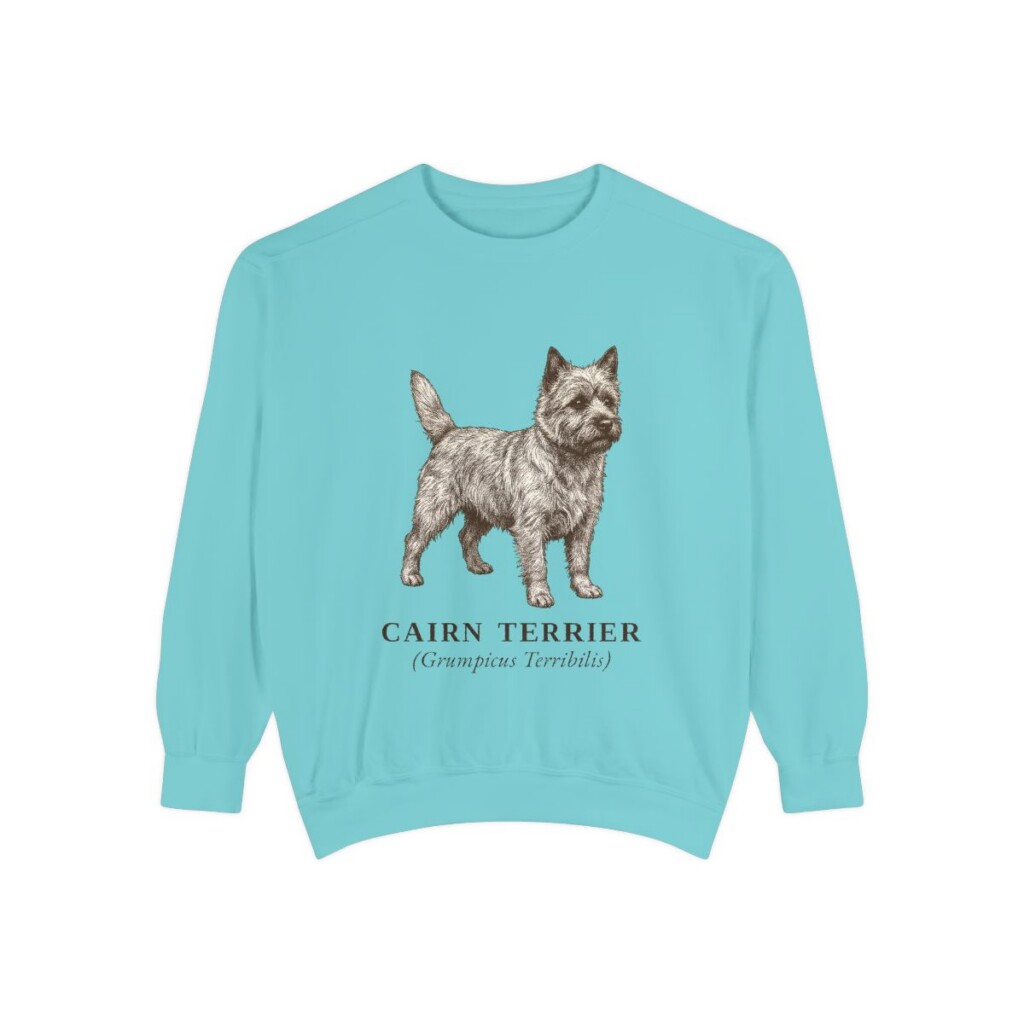 Cairn Terrier Latin Sweatshirt, Chalky Mint, front view