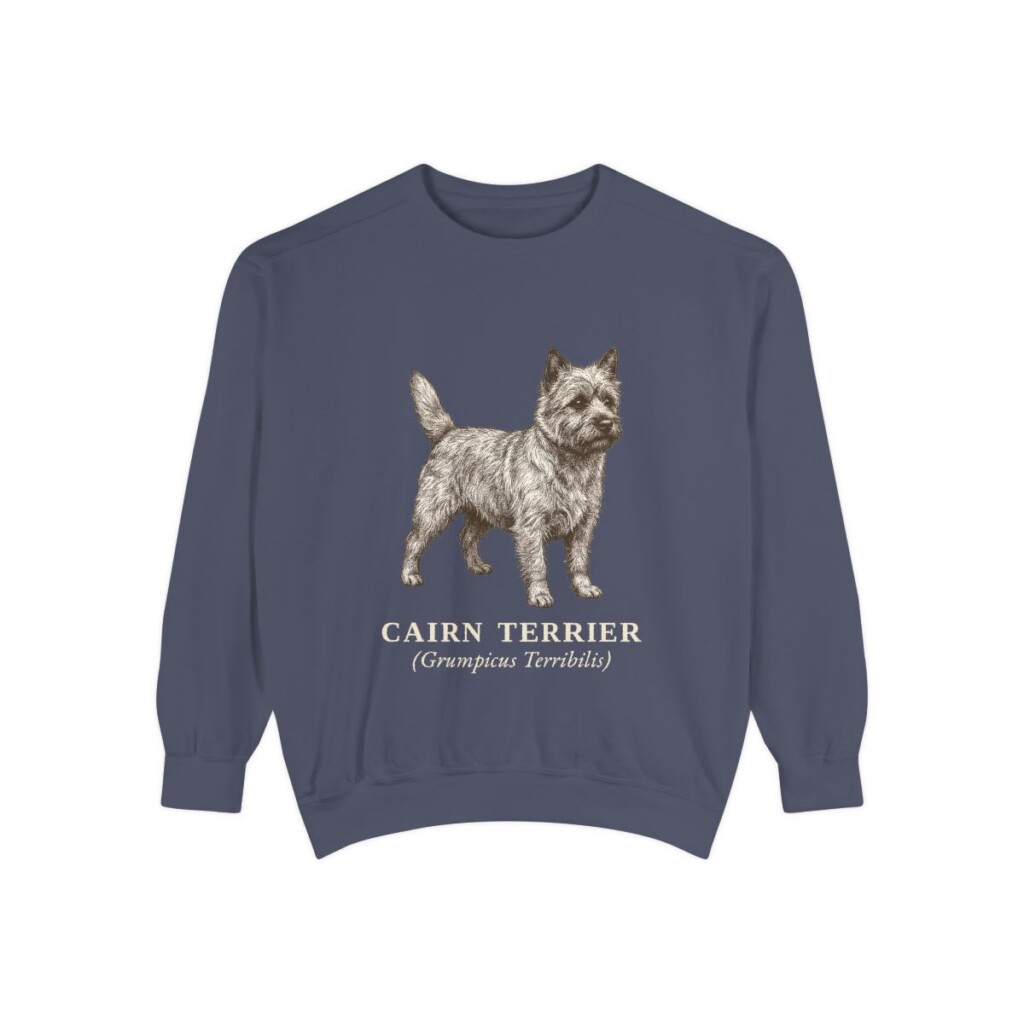 Cairn Terrier Latin Sweatshirt, Denim, front view