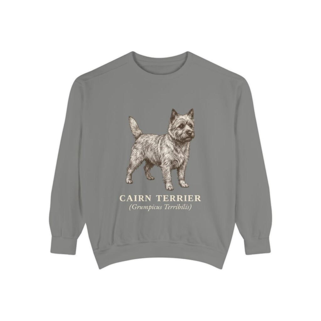 Cairn Terrier Latin Sweatshirt, Grey, front view