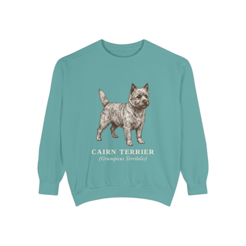 Cairn Terrier Latin Sweatshirt, Seafoam, front view