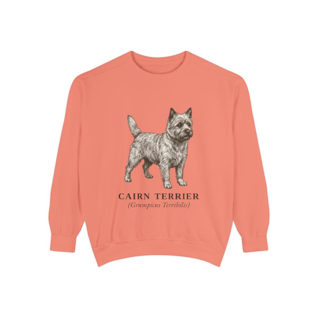 Cairn Terrier Latin Sweatshirt, Terracotta, front view