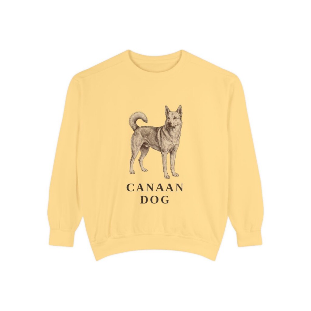 Canaan Dog Sweatshirt, Butter, front view