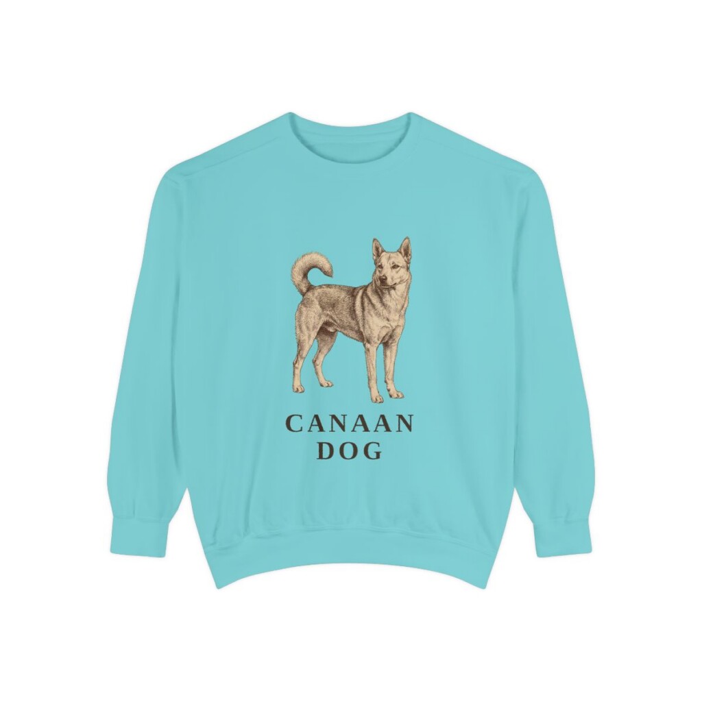 Canaan Dog Sweatshirt, Chalky Mint, front view