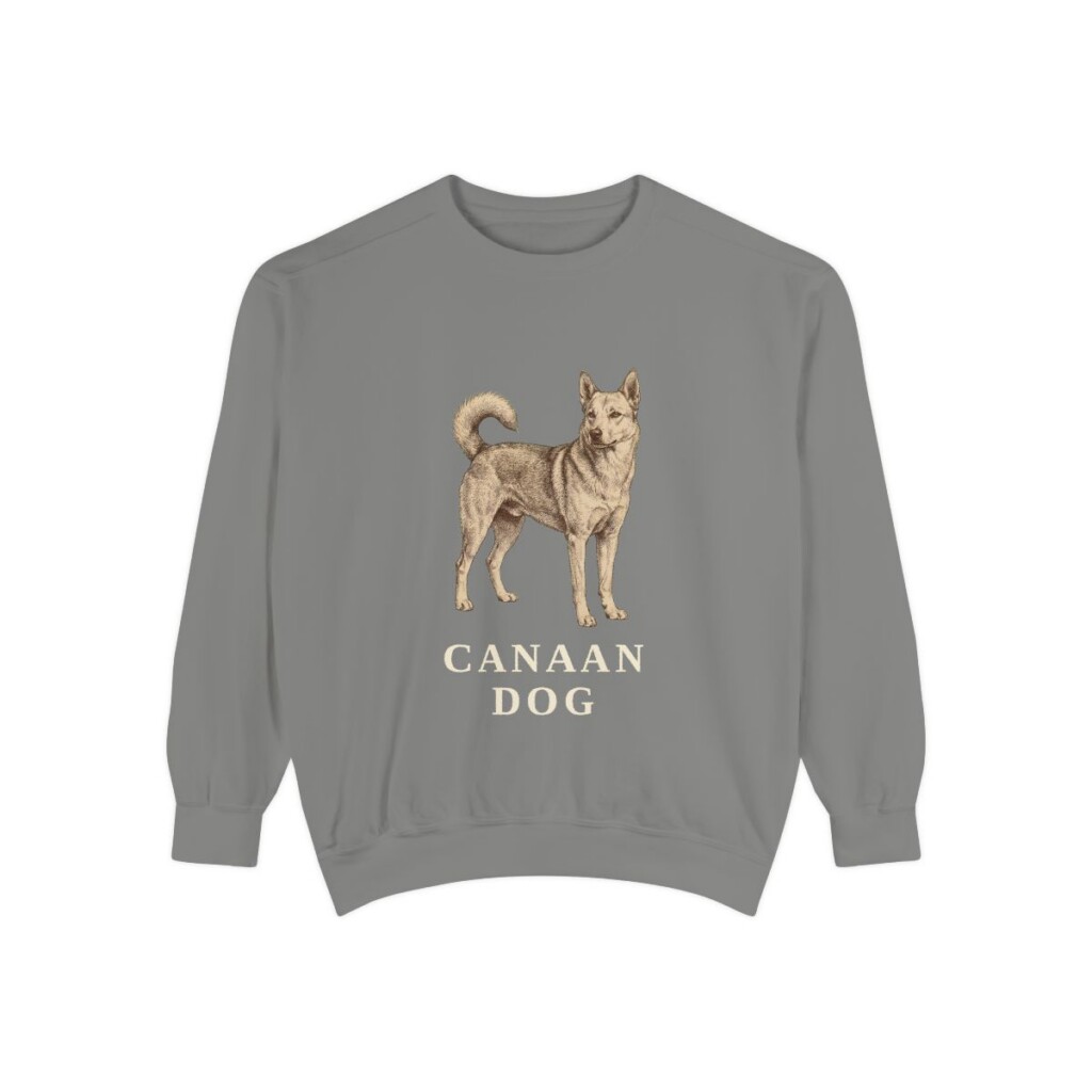 Canaan Dog Sweatshirt, Grey, front view