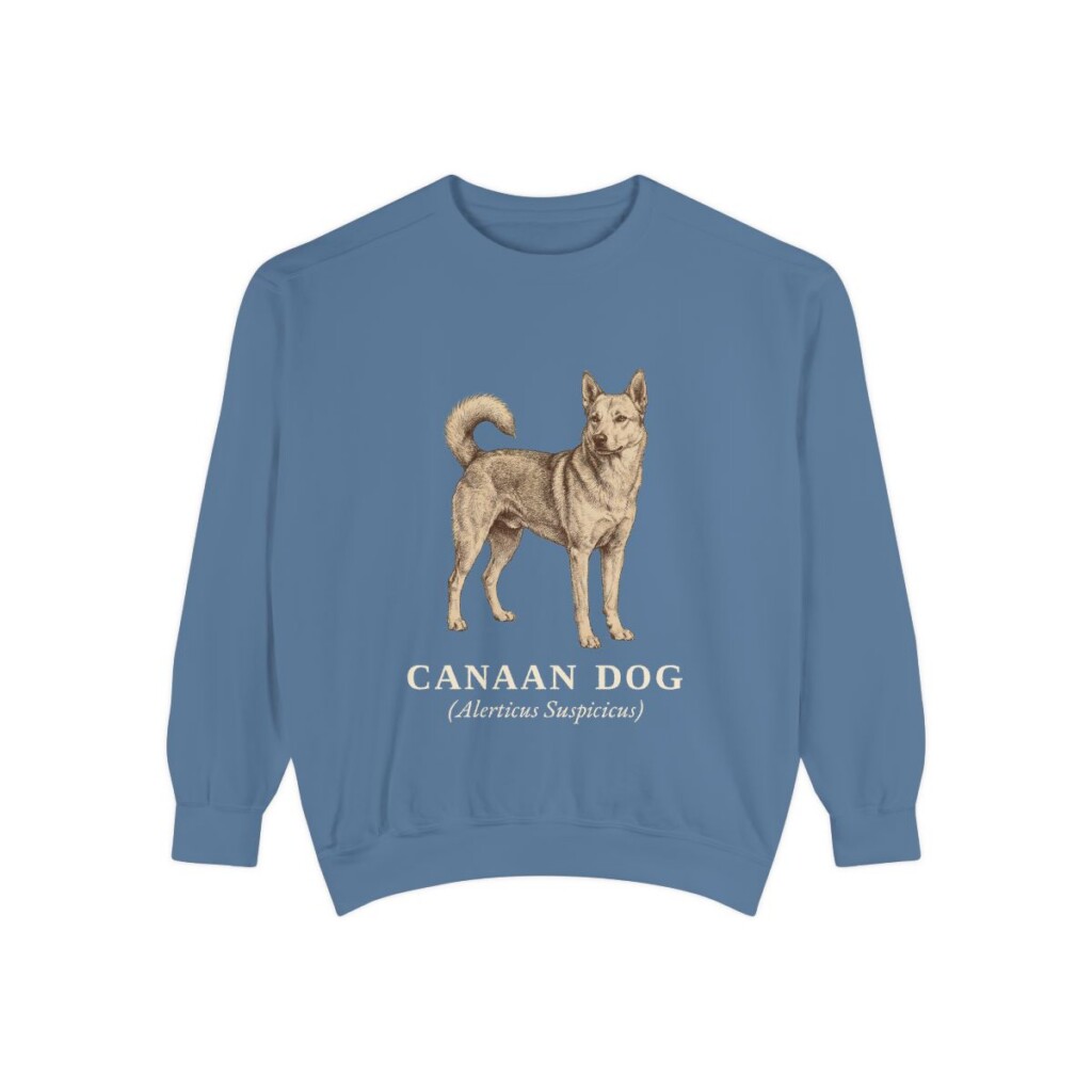 Canaan Dog Latin Sweatshirt, Blue Jean, front view