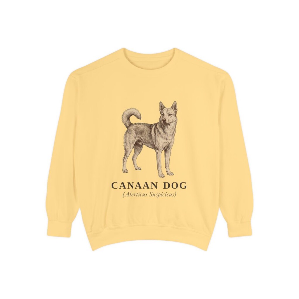 Canaan Dog Latin Sweatshirt, Butter, front view