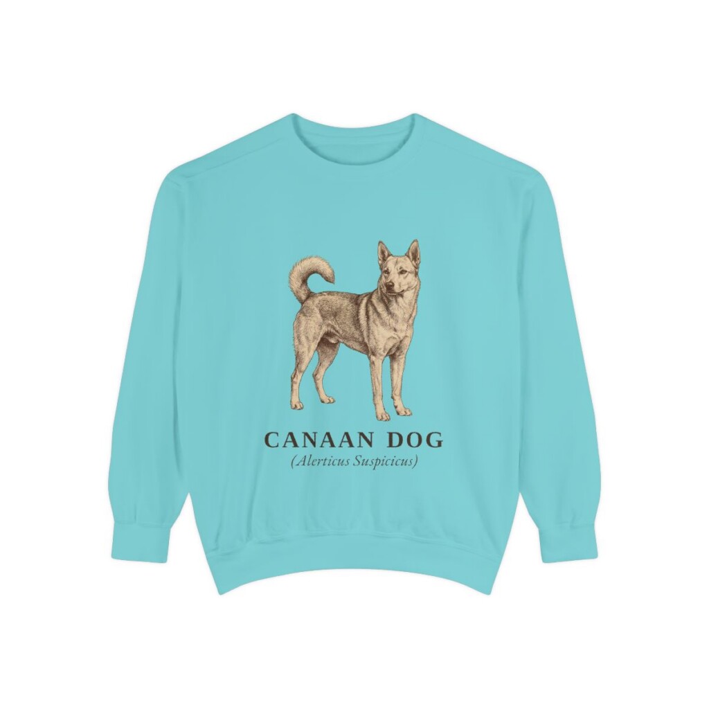 Canaan Dog Latin Sweatshirt, Chalky Mint, front view