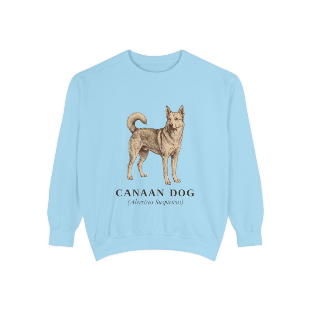Canaan Dog Latin Sweatshirt, Chambray, front view