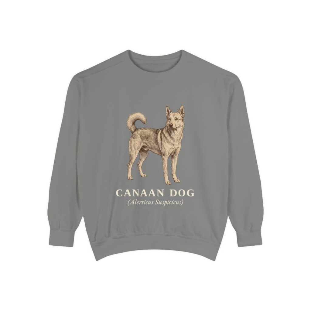 Canaan Dog Latin Sweatshirt, Grey, front view