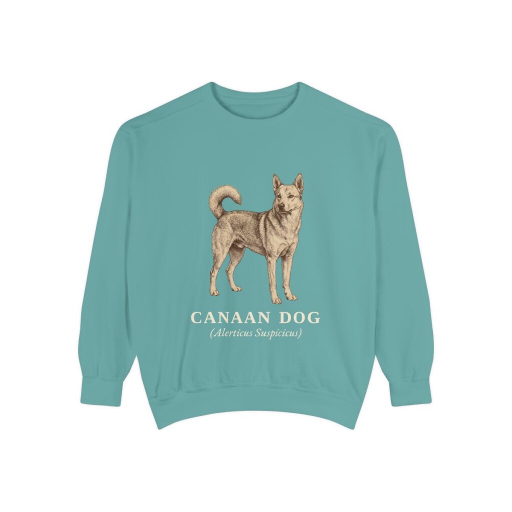 Canaan Dog Latin Sweatshirt, Seafoam, front view