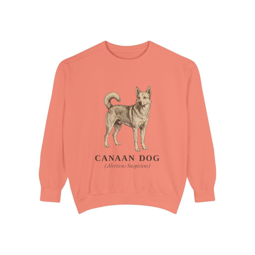 Canaan Dog Latin Sweatshirt, Terracotta, front view