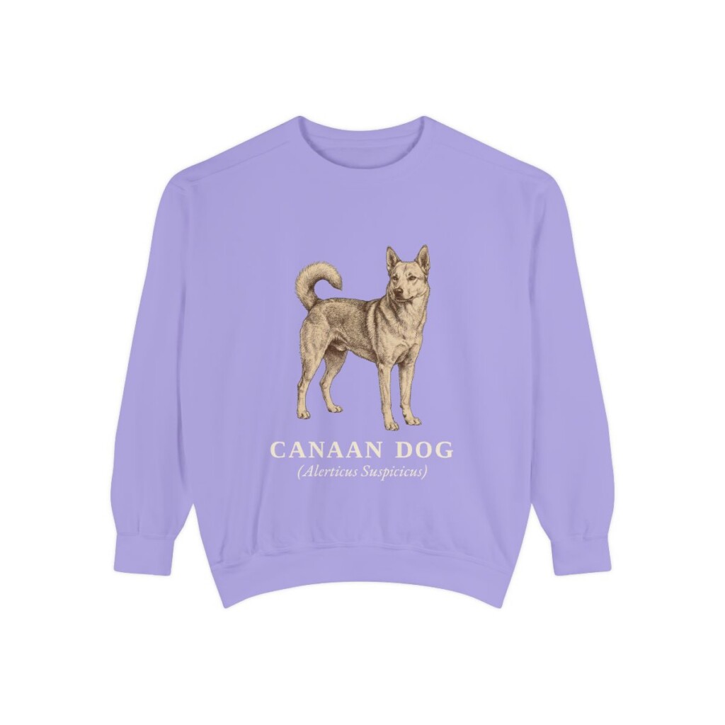 Canaan Dog Latin Sweatshirt, Violet, front view