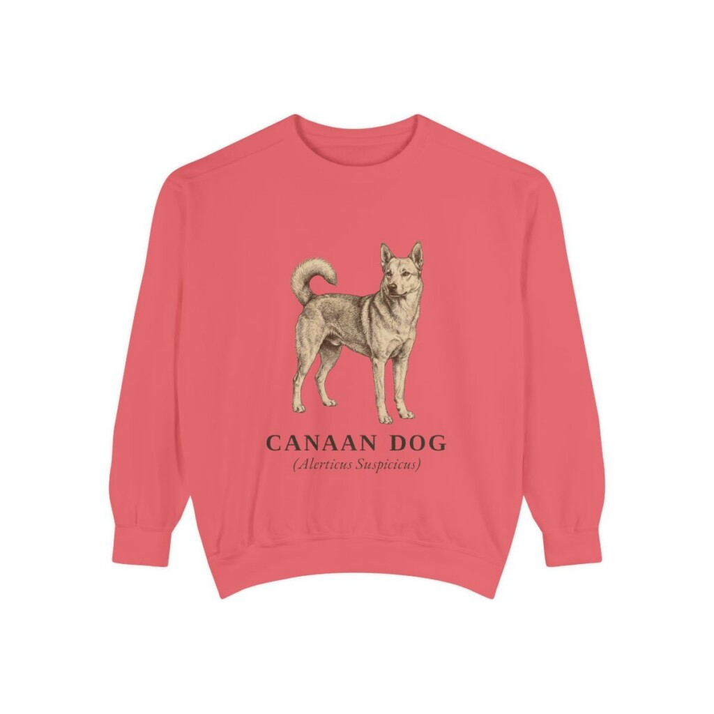 Canaan Dog Latin Sweatshirt, Watermelon, front view