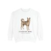 Canaan Dog Latin Sweatshirt, White, front view