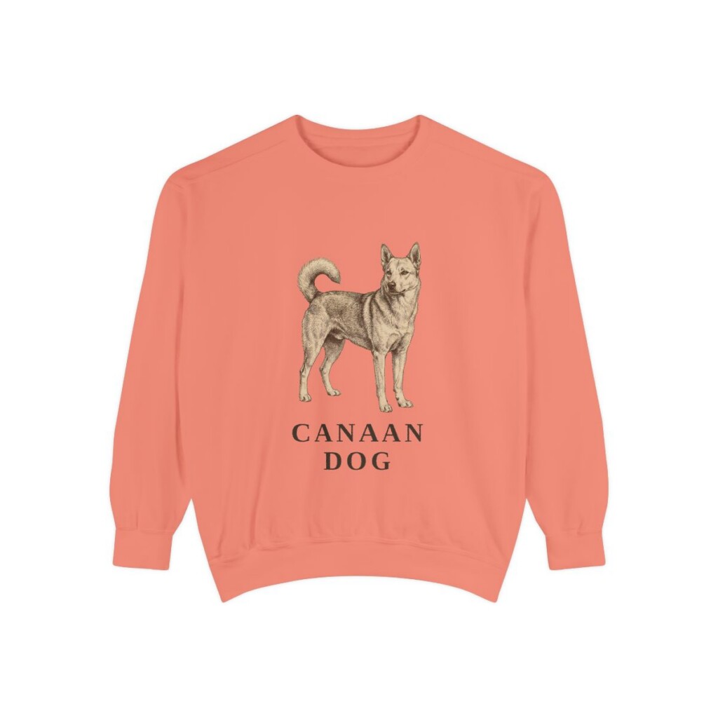 Canaan Dog Sweatshirt, Terracotta, front view