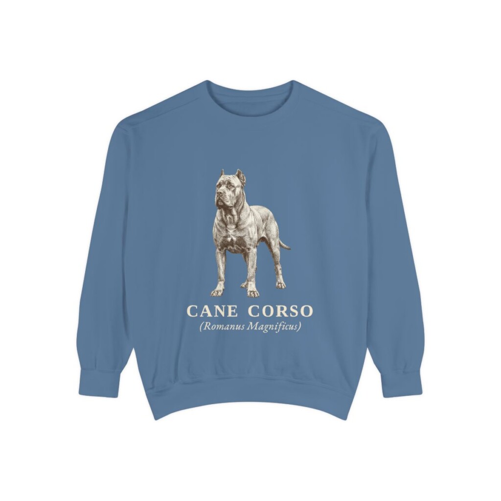 Cane Corso Latin Sweatshirt, Blue Jean, front view