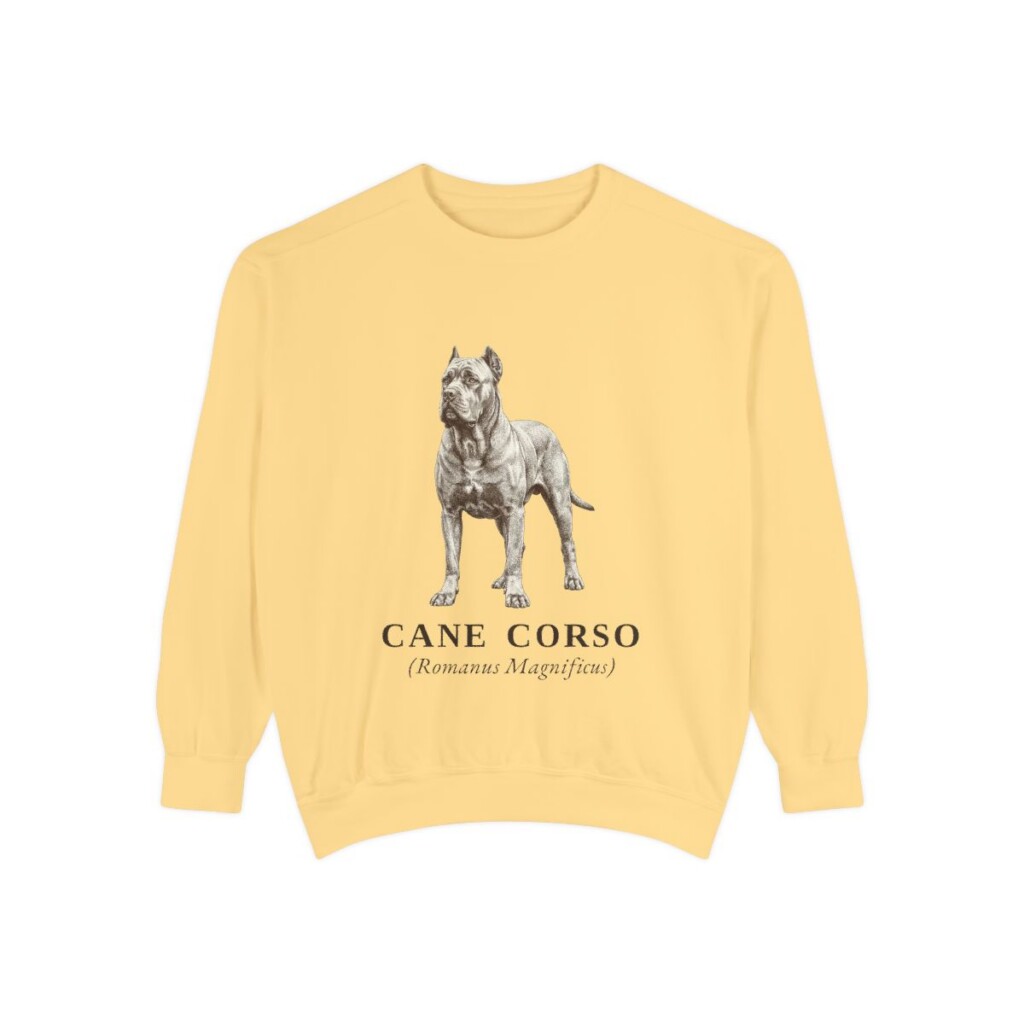 Cane Corso Latin Sweatshirt, Butter, front view