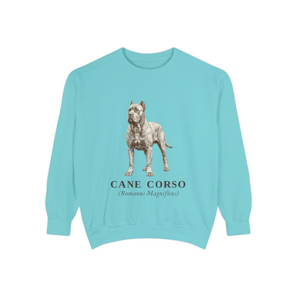 Cane Corso Latin Sweatshirt, Chalky Mint, front view