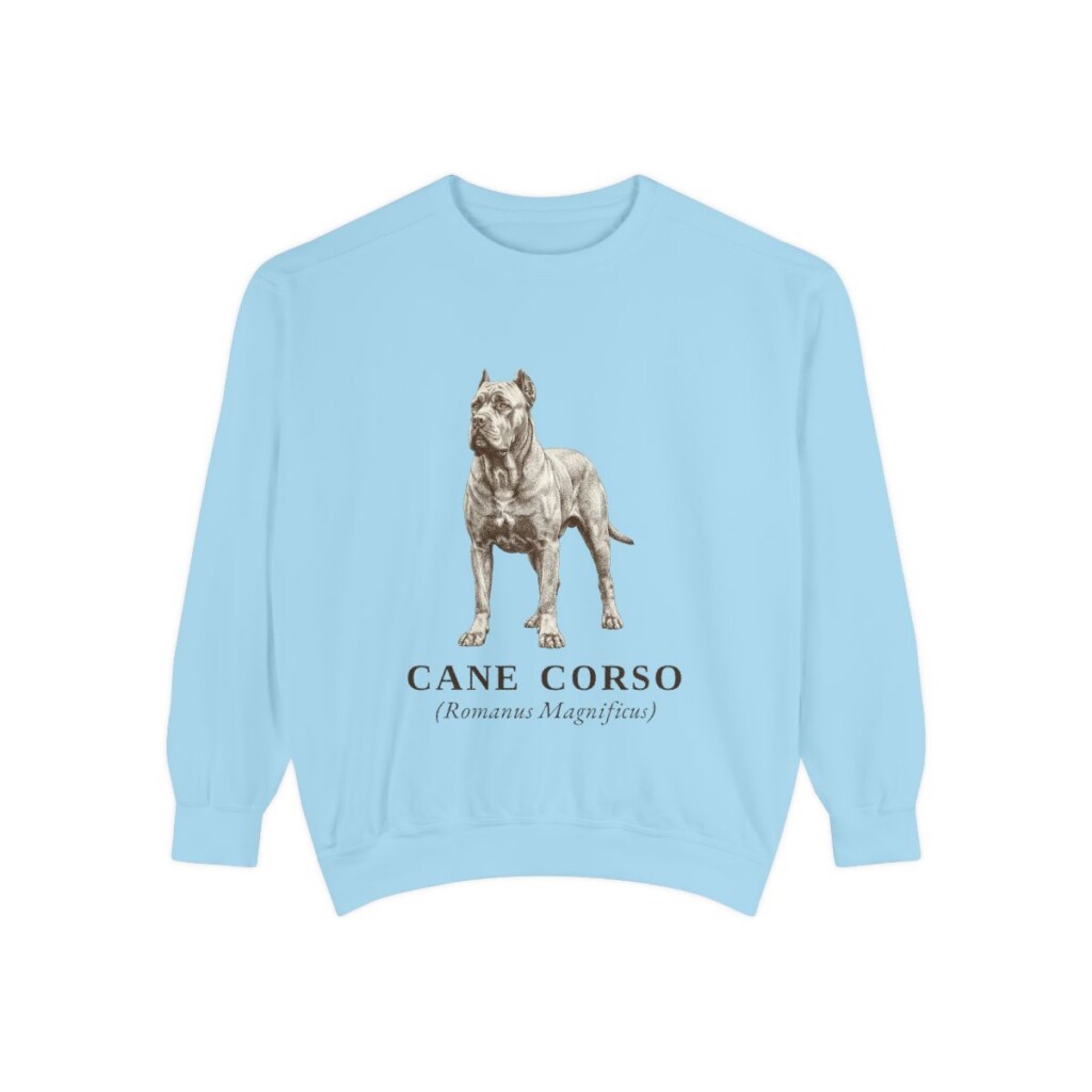 Cane Corso Latin Sweatshirt, Chambray, front view