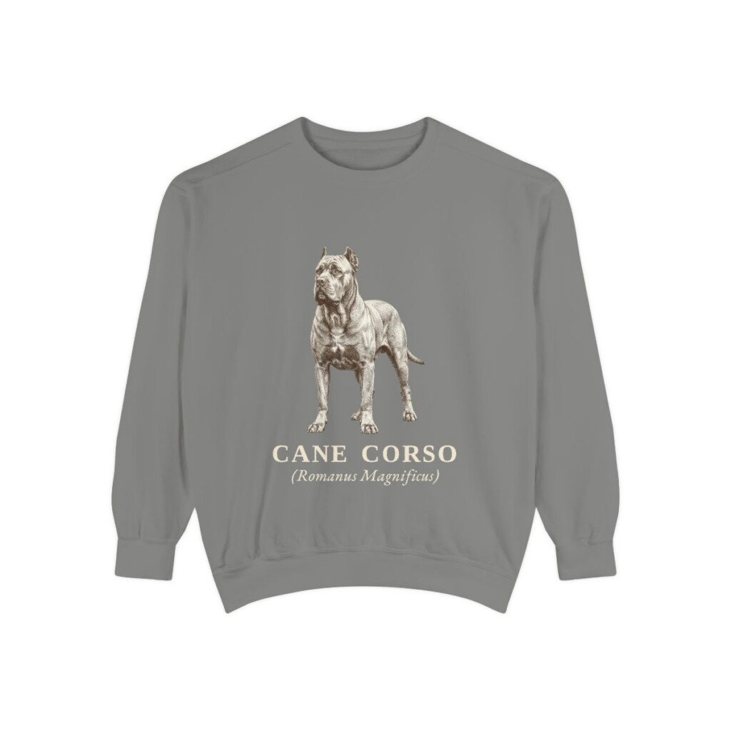Cane Corso Latin Sweatshirt, Grey, front view