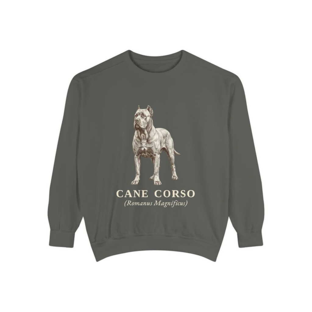 Cane Corso Latin Sweatshirt, Pepper, front view