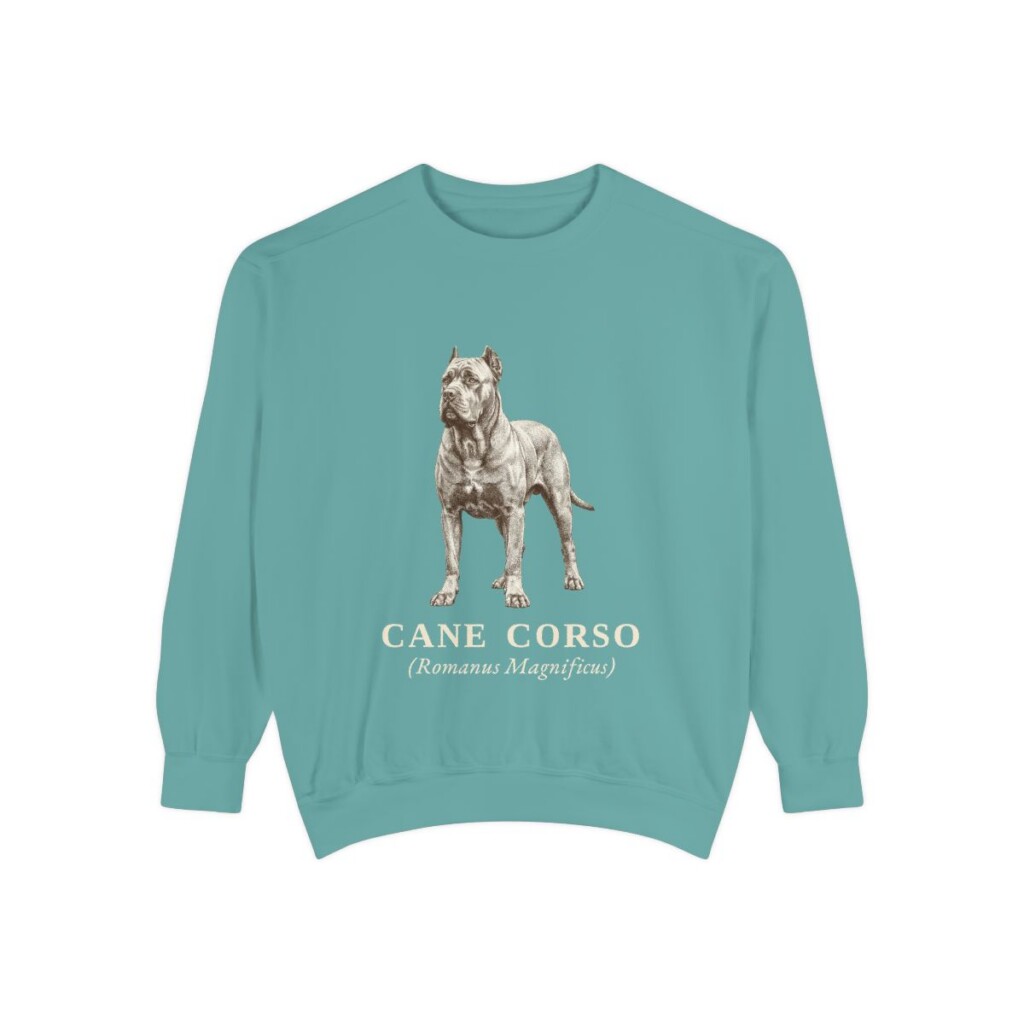 Cane Corso Latin Sweatshirt, Seafoam, front view