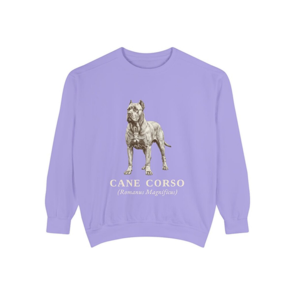 Cane Corso Latin Sweatshirt, Violet, front view
