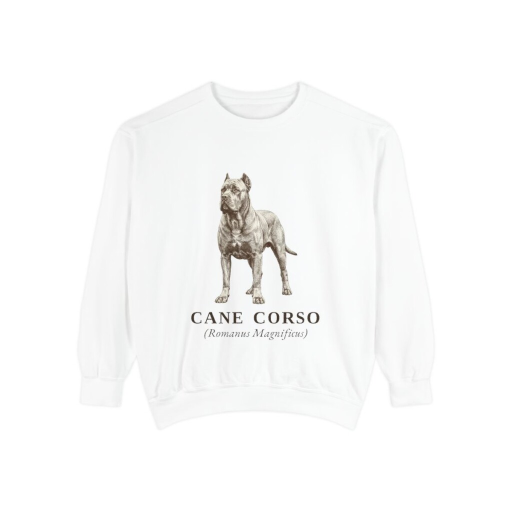 Cane Corso Latin Sweatshirt, White, front view