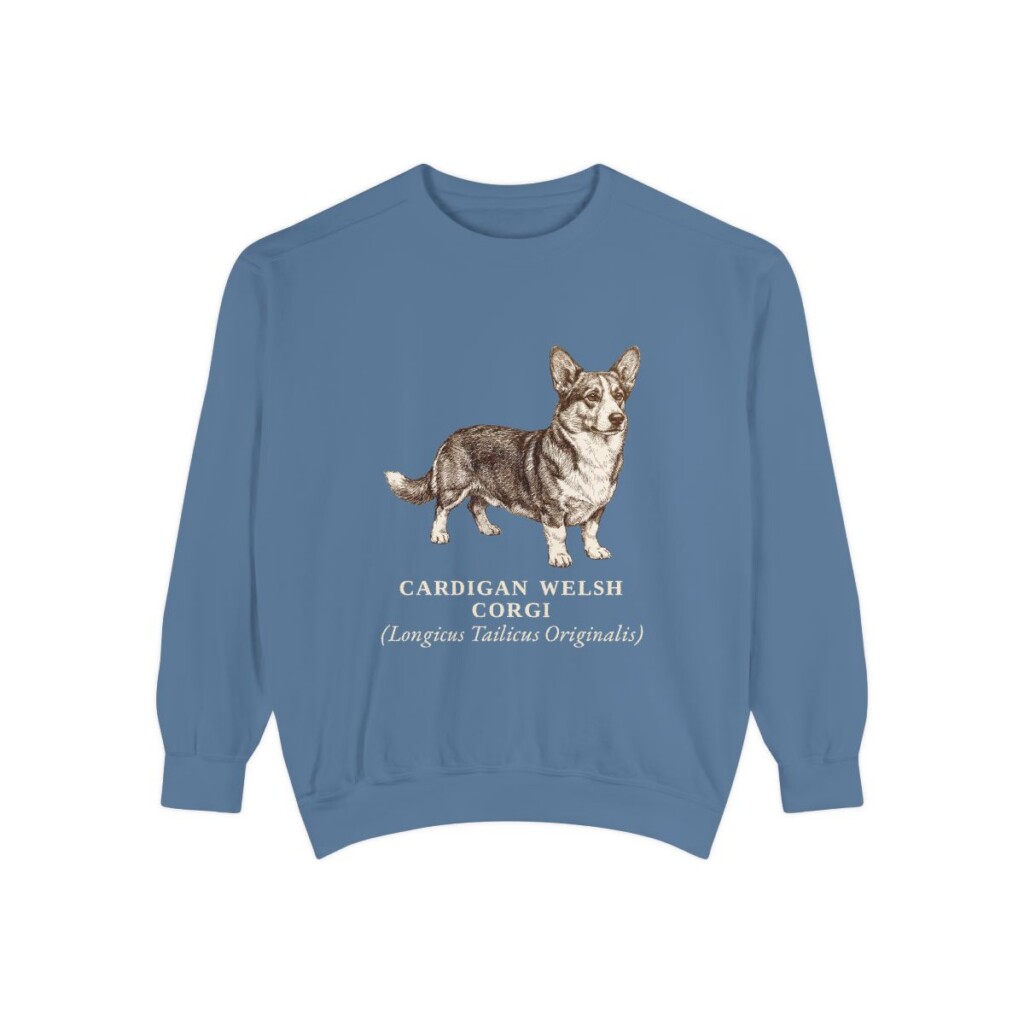 Cardigan Welsh Corgi Latin Sweatshirt, Blue Jean, front view