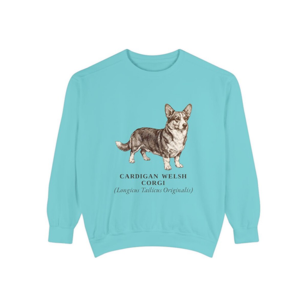 Cardigan Welsh Corgi Latin Sweatshirt, Chalky Mint, front view