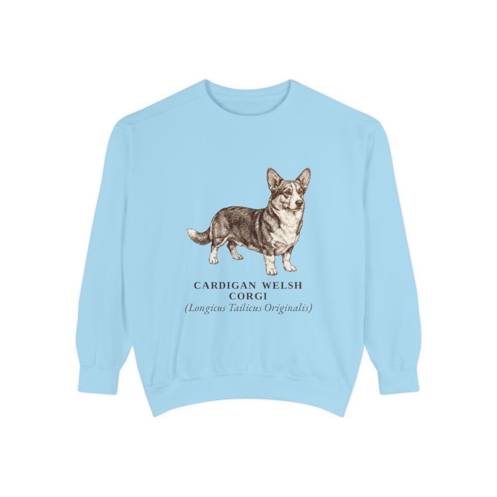 Cardigan Welsh Corgi Latin Sweatshirt, Chambray, front view