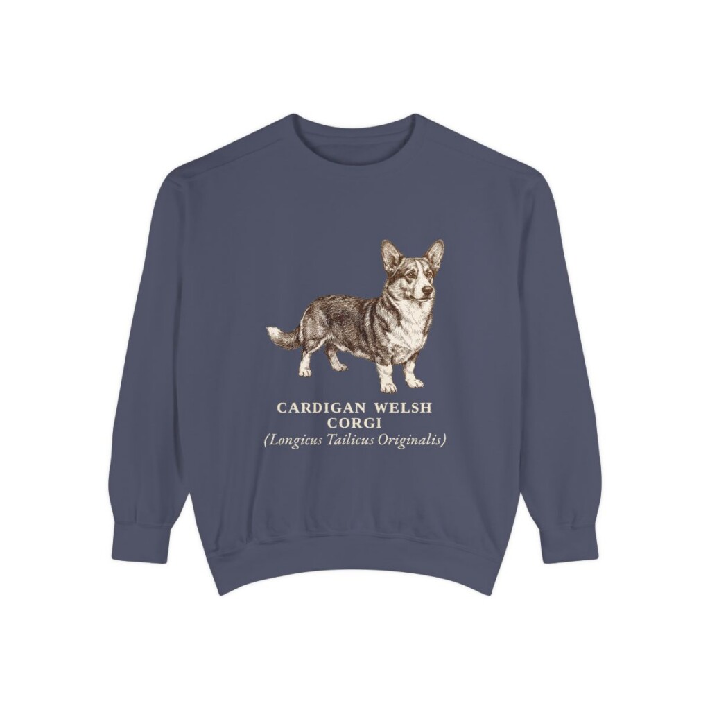 Cardigan Welsh Corgi Latin Sweatshirt, Denim, front view
